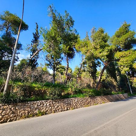 Cozy Apartment For 4 In Kolonaki, Lycabettus Atene Esterno foto