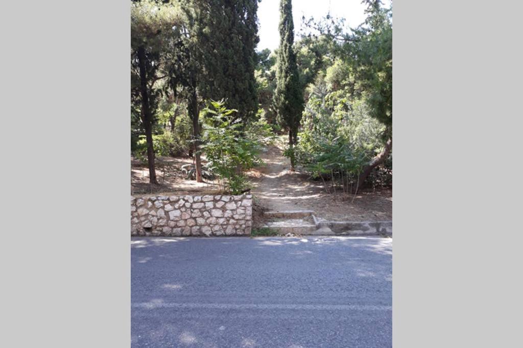 Cozy Apartment For 4 In Kolonaki, Lycabettus Atene Esterno foto